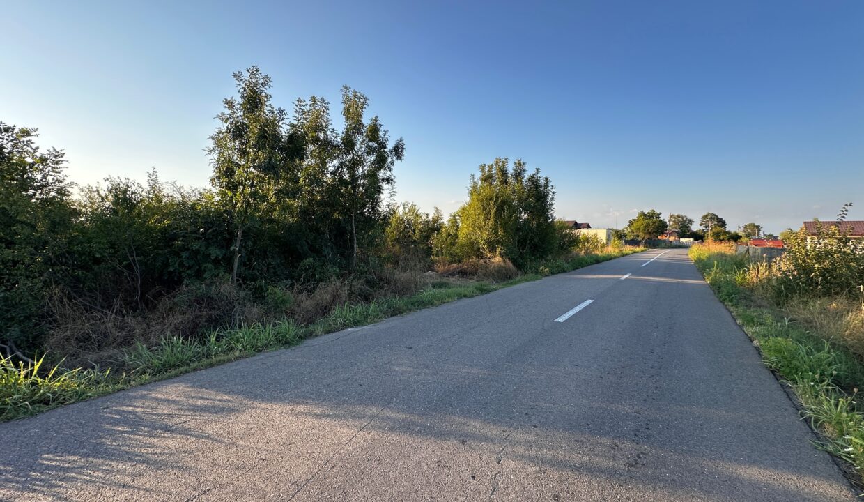 Vânzare teren Dâmbovița