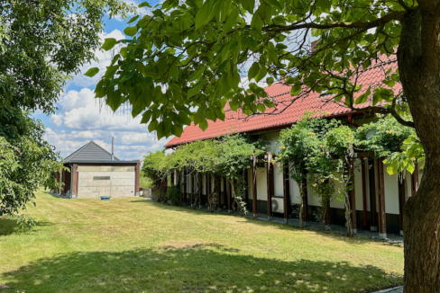 Proprietate in Bolintin Deal 21