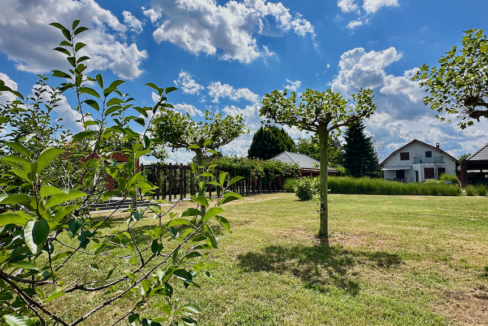 Proprietate in Bolintin Deal 37
