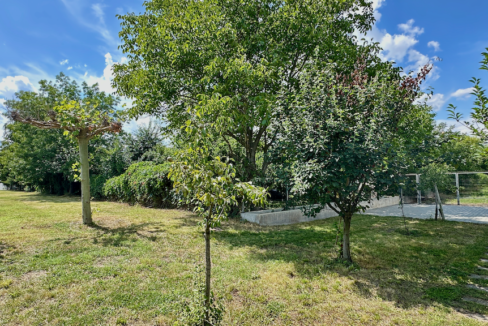 Proprietate in Bolintin Deal 38