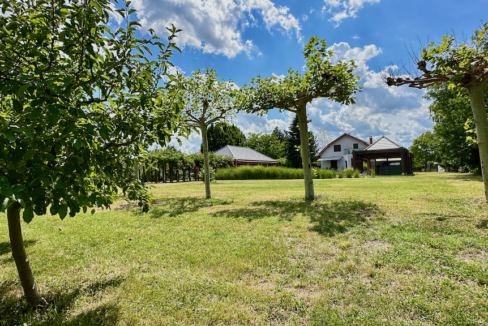Proprietate in Bolintin Deal 39