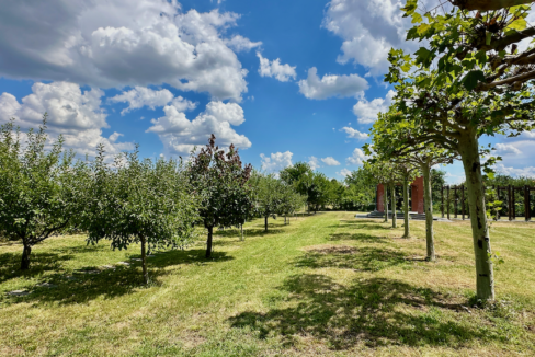 Proprietate in Bolintin Deal 40