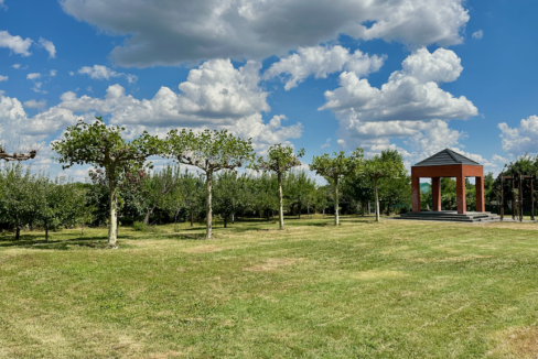 Proprietate in Bolintin Deal 43